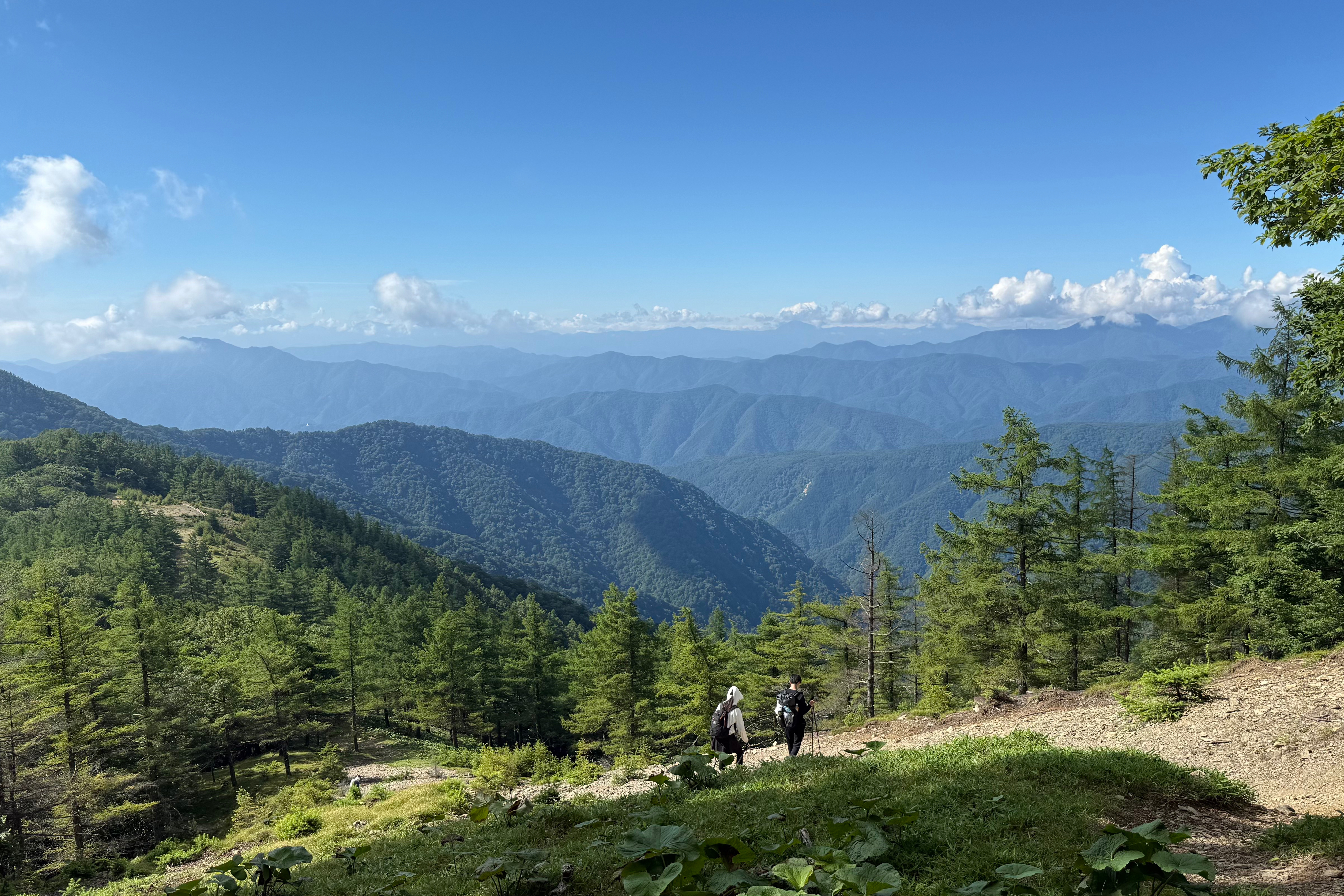 11山岳部