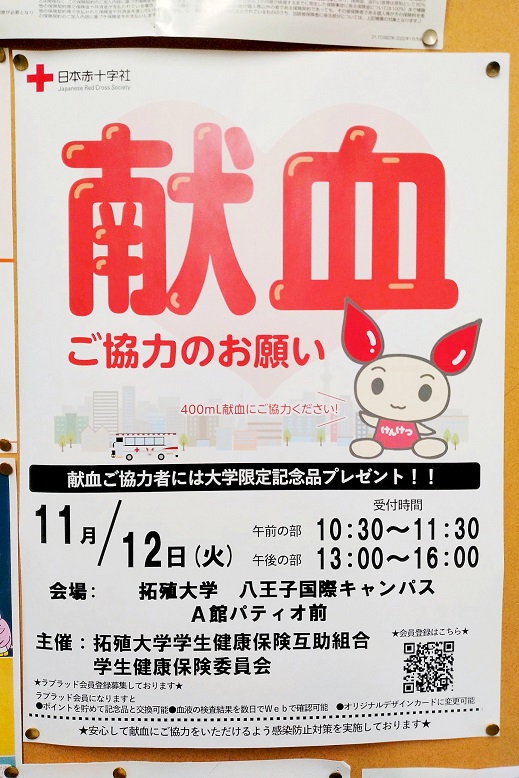 20241113_hachigakuseiseikatsu01